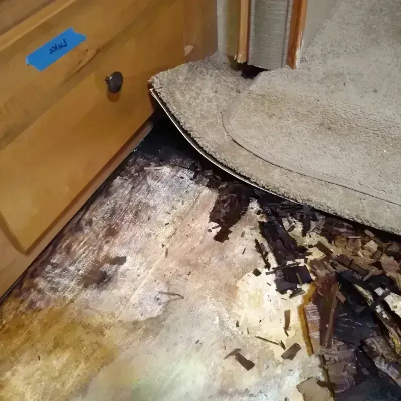 Wood Floor Water Damage in Monroe, UT